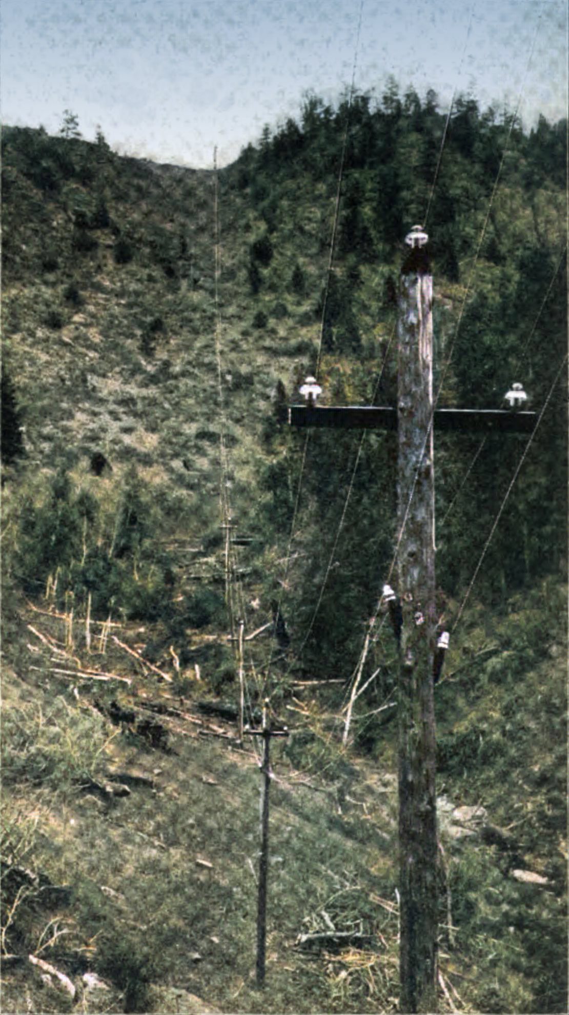 Pole Line Extending Up Mountain Side. On Colorado Electric Power Co.'s Line to Cripple Creek.