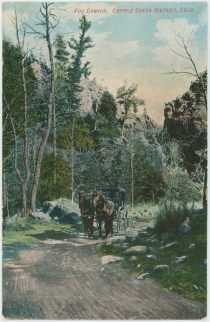 Fox Canyon, Cripple Creek District, Colo.