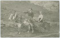 View of a Man Holding a Stick in Front of a Donkey/Mule with a Wagon Behind It, a Lady is Seated On the Wagon