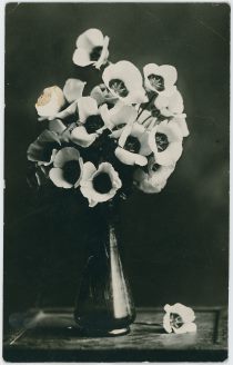 Flowers in Vase on a Table, Possible in Lehr Residence [1]