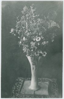 Flowers in Vase on a Table, Possible in Lehr Residence [4] | Colorado Wild Flowers