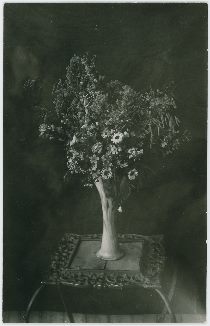 Flowers in Vase on a Table, Possible in Lehr Residence [5] | Colorado Wild Flowers